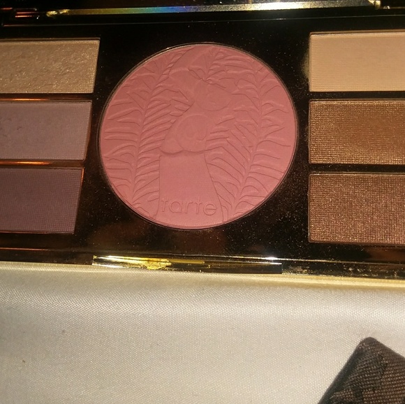 tarte Other - Taste Miracles of the Amazon Pallete